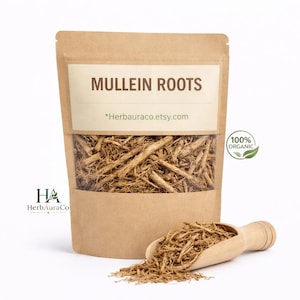 Raíz de gordolobo seca / Verbascum thapsus, ingrediente para infusiones.