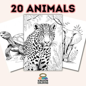 20 Animals Coloring Pages (Variety Pack) - Printable PDF file