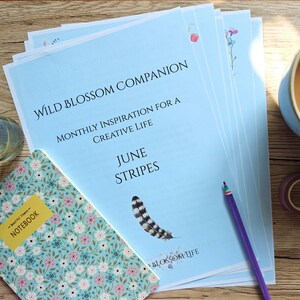 Könnte beinhalten: Ein Stapel hellblauer Papiere mit dem Text "Wild Blossom Companion" und "June Stripes" liegt auf einer Holzoberfläche. Ein Blumennotizbuch, eine Tasse Tee, ein Bleistift und ein kleines Glas mit Blumen sind ebenfalls vorhanden. Das Thema ist kreative Inspiration.