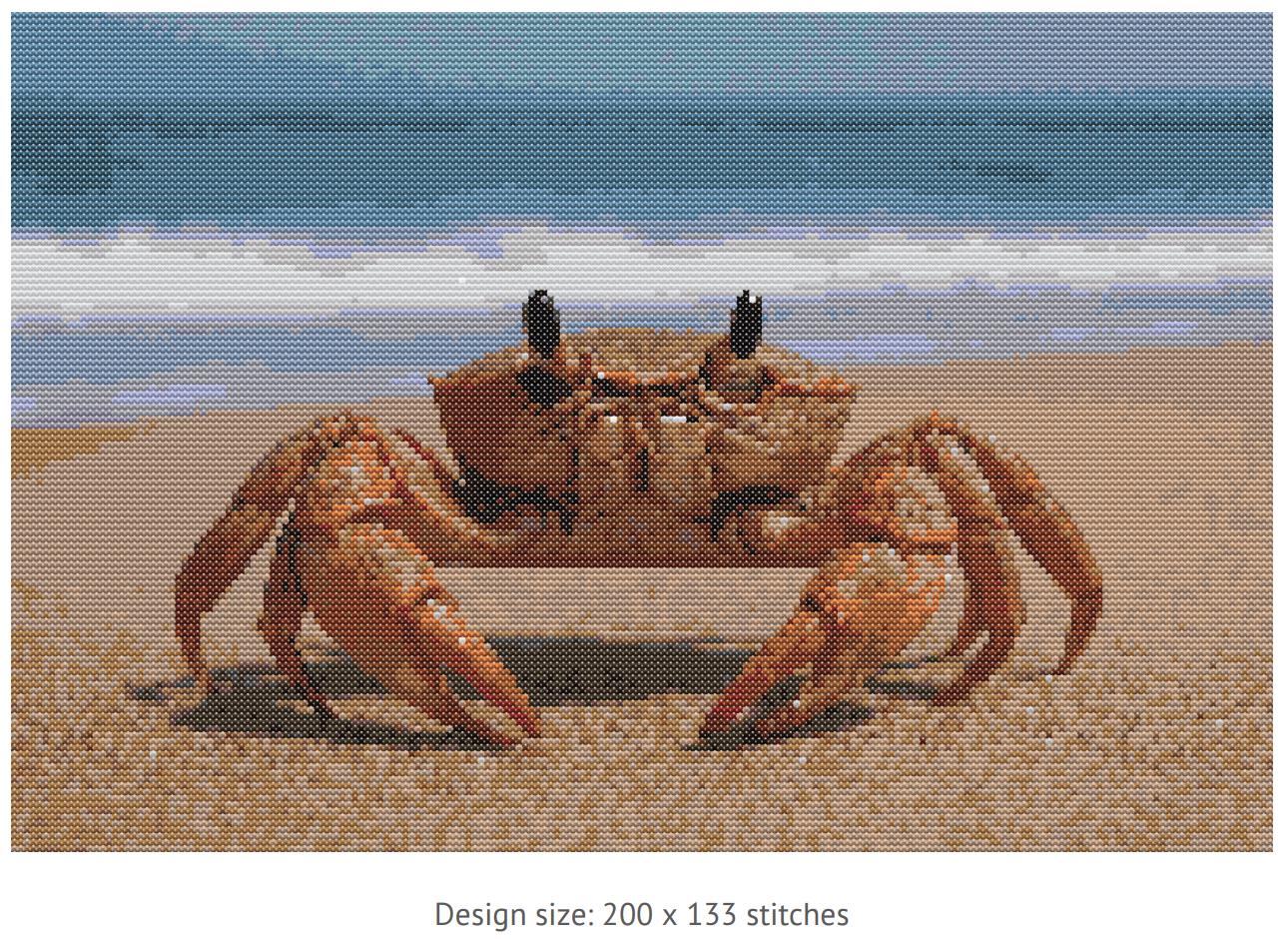 Beach Crab Cross Stitch Pattern - Etsy
