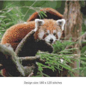 Red Panda Cross Stitch Pattern