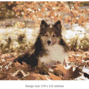 May include: Cross-stitch pattern of a dog lying in autumn leaves. The dog has brown and black fur with a white chest. The leaves are shades of brown and orange. The design size is 170 x 115 stitches.