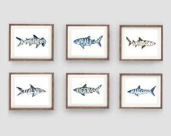 May include: Six framed watercolor paintings of different shark species, each with the shark's name written in white letters inside the silhouette of the shark. The names are: Hammerhead, Whale Shark, Leopard Shark, Great White, Tiger Shark, and Mako Shark.