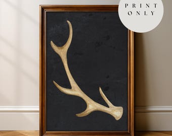 Deer Antler Art Print, Vintage Rich Charcoal Backdrop, Moody Home Decor