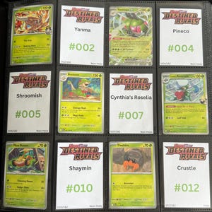 Pokémon TCG: Destined Rivals - Espaço reservado para pasta de cartas - Conjunto principal (download digital)