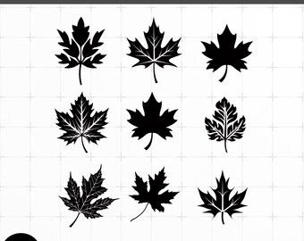 Pacchetto di file SVG a forma di foglia: file di taglio per foglie compatibili con Cricut e Silhouette (download immediato)