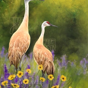 Print of "Sandhill Cranes," by Tierra Jackson ©2022