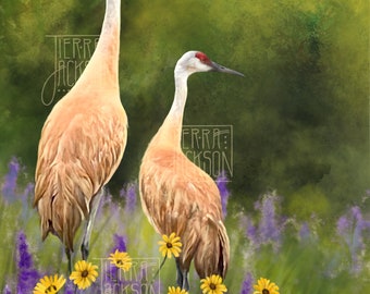 Print of "Sandhill Cranes," by Tierra Jackson ©2022