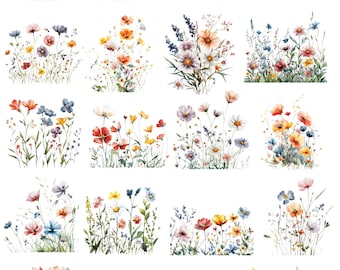 Field Full Of Flowers