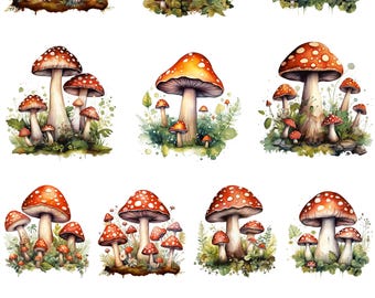 Mushrooms with Greenery
