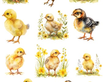 Sweet Chick