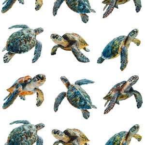 May include: A collection of twelve sea turtle illustrations. The turtles have a variety of shell colors, including green, brown, and blue. The turtles are shown in a swimming position against a white background.