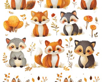 Fox And Friends