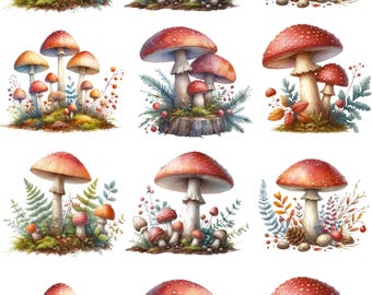 Mushrooms Deep In The Forrest