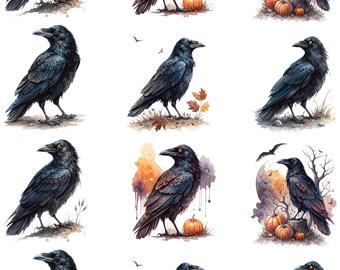 Crow With A Splash Of Color