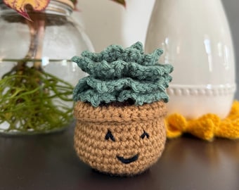 Handmade Crochet Succulent with Pot | Cute Crochet Plant | Boho Home Décor | Gift for Plant Lovers