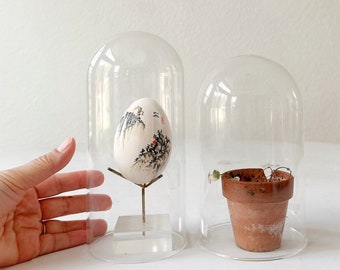 rustic glass dome specimen display / curio storage / terrarium