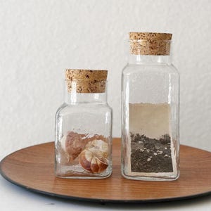 small cork lid glass apothecary jar / kitchen storage terrarium / 1 jar