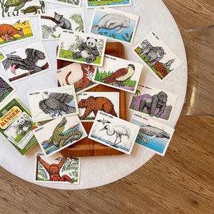 large vintage endangered animal flash card in original box set 1990