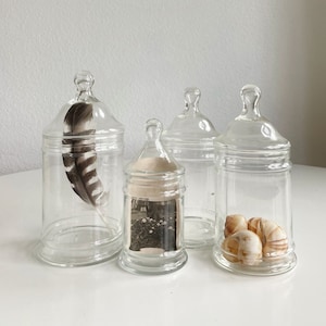 May include: Four clear glass apothecary jars with domed lids. One jar contains a large feather, another a small black and white photograph, and a third, several seashells. The jars are arranged on a white surface.