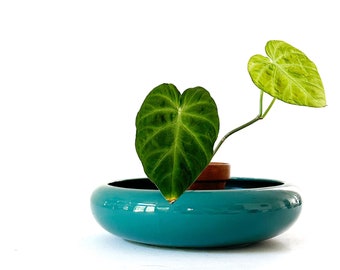 vintage round shallow green ceramic planter flower pot | single vase