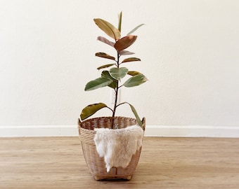large asian woven rattan bamboo basket planter with handles: boho planter