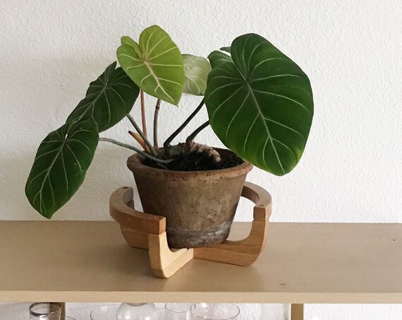 Baskets / Planters - simplychivintage