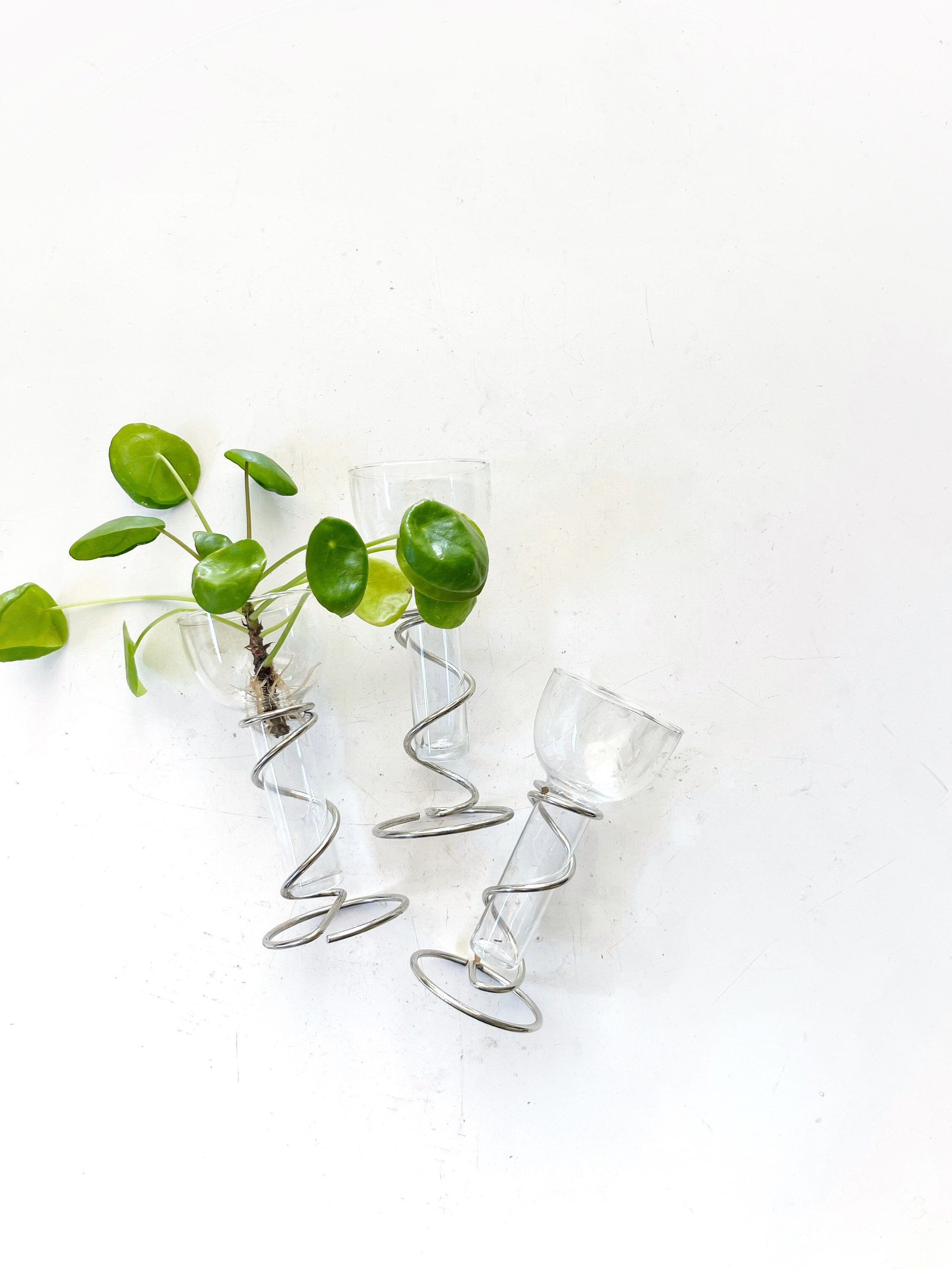 Small Modern Art Deco Glass Globe Vases With Silver Metal Etsy