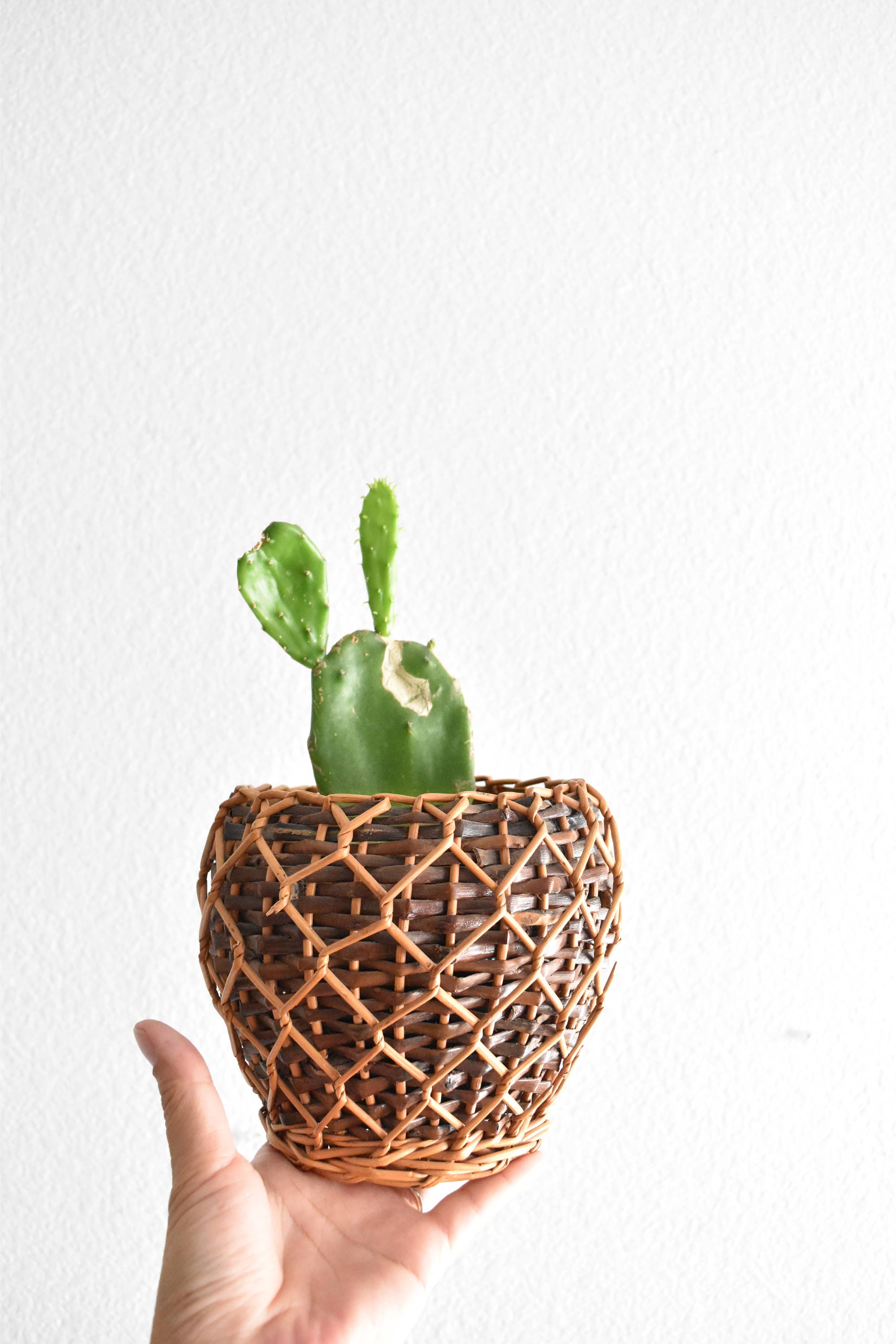 small 2 tone colored hand woven wicker basket planter