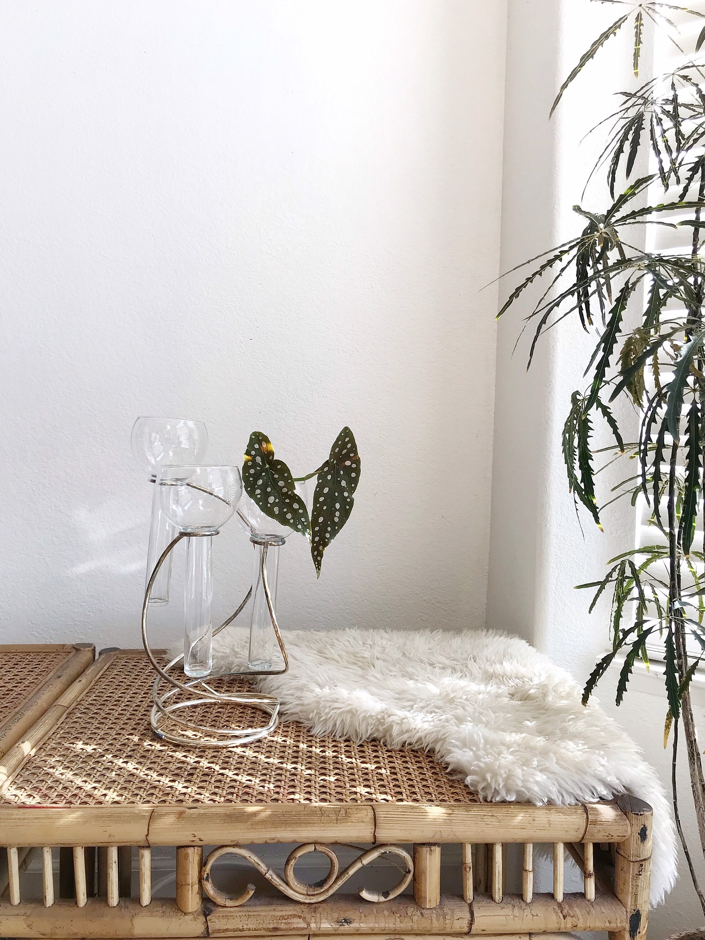 Modern Art Deco Glass Globe Vases With Silver Metal Stand Etsy