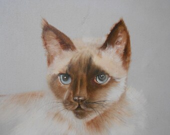 original vintage large siamese cat painting / cat lover portrait / white cat