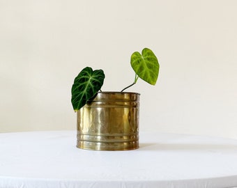 small decorative indoor brass cylinder planter | hollywood regency flower pot
