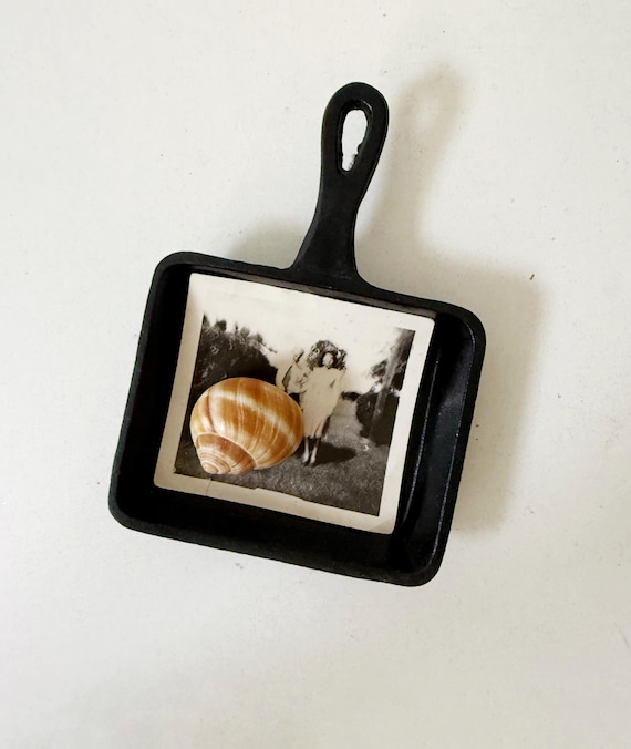 Lodge Small Square Cast Iron Skillet: Country Farmhouse Decor