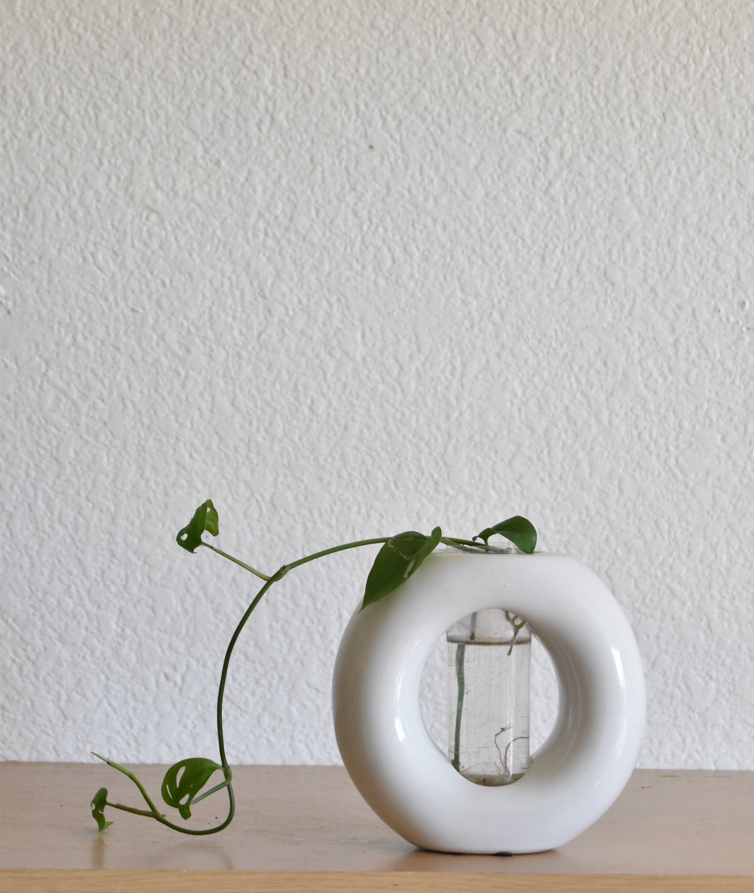 White Ceramic Lab Glass Vase Plant Propagating Station