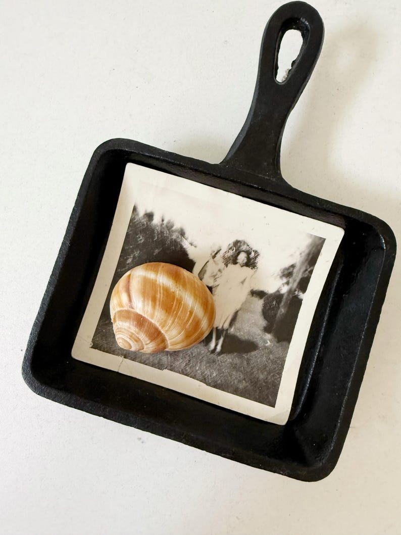 Puede incluir: Una peque&ntilde;a sart&eacute;n de hierro fundido negro contiene una fotograf&iacute;a vintage en blanco y negro y una concha rayada. La fotograf&iacute;a muestra a una mujer. La concha es marr&oacute;n y beige.