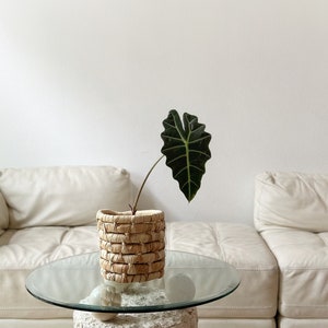 chunky leaf coiled basket planter image 2