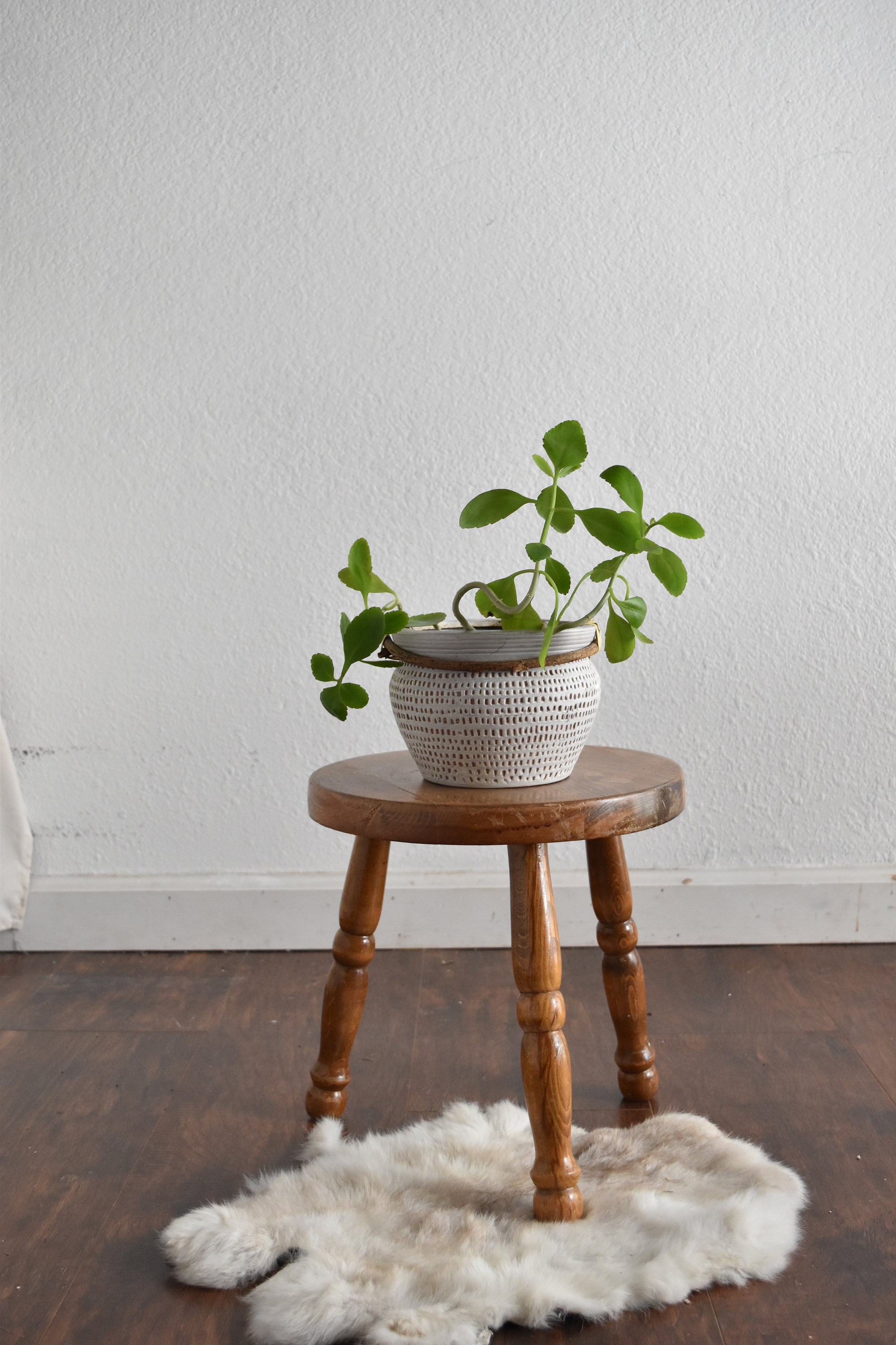 vintage small wood stool / plant stand
