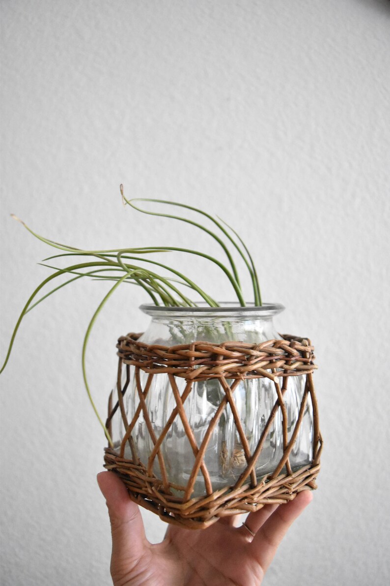 Small woven wicker glass flower vase / bud starter / candle Etsy