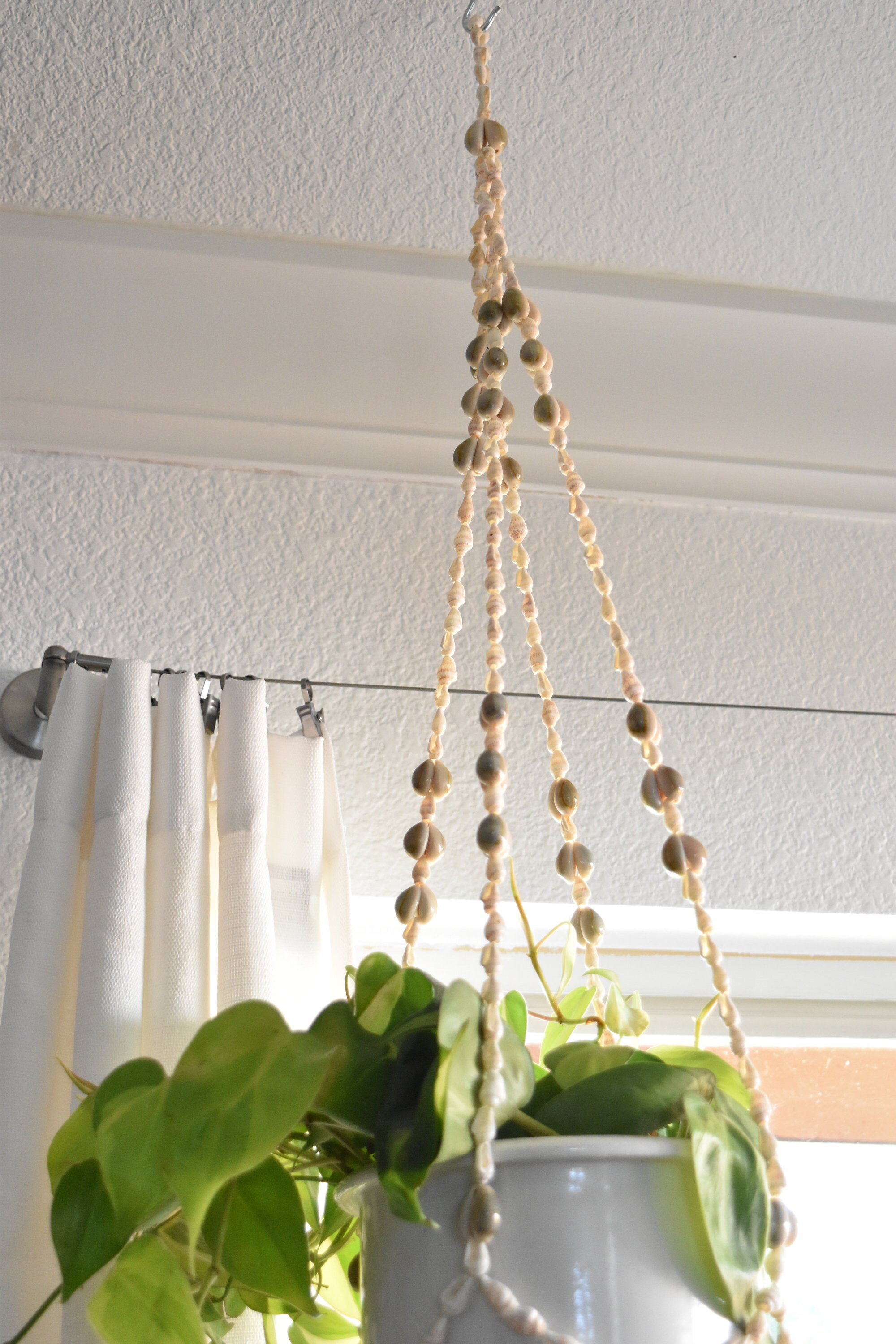 seashell shell macrame planter hanger / indoor plant