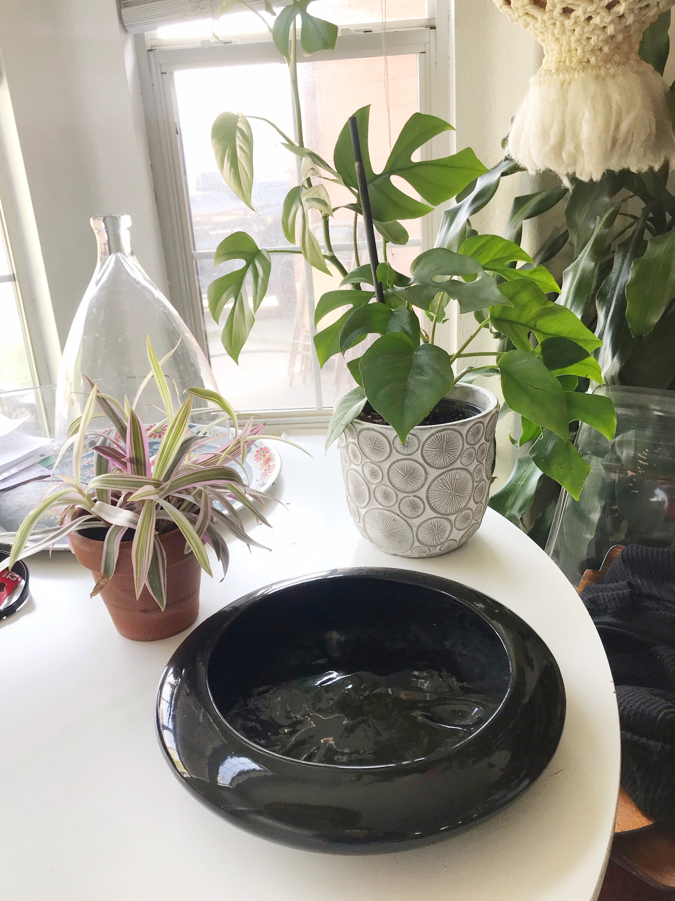 large vintage shallow black ceramic planter flower pot