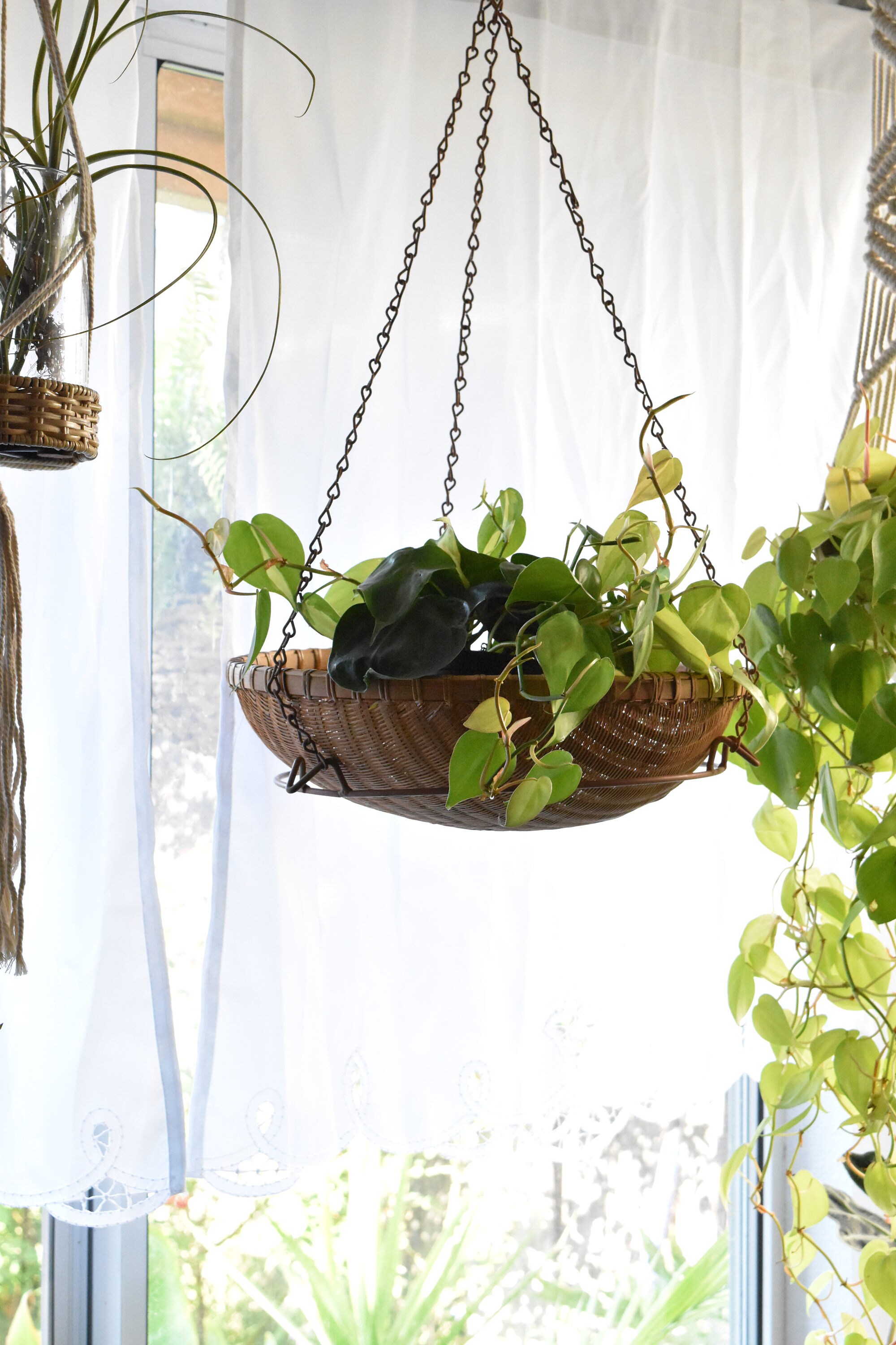 pink metal wire hanging basket planter / plant holder