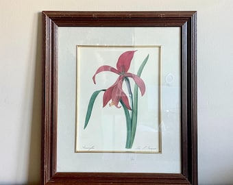 Framed vintage print: Floral wall art