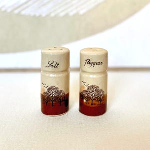 Vintage salt and pepper shakers, Retro kitchen, 1970s home decor