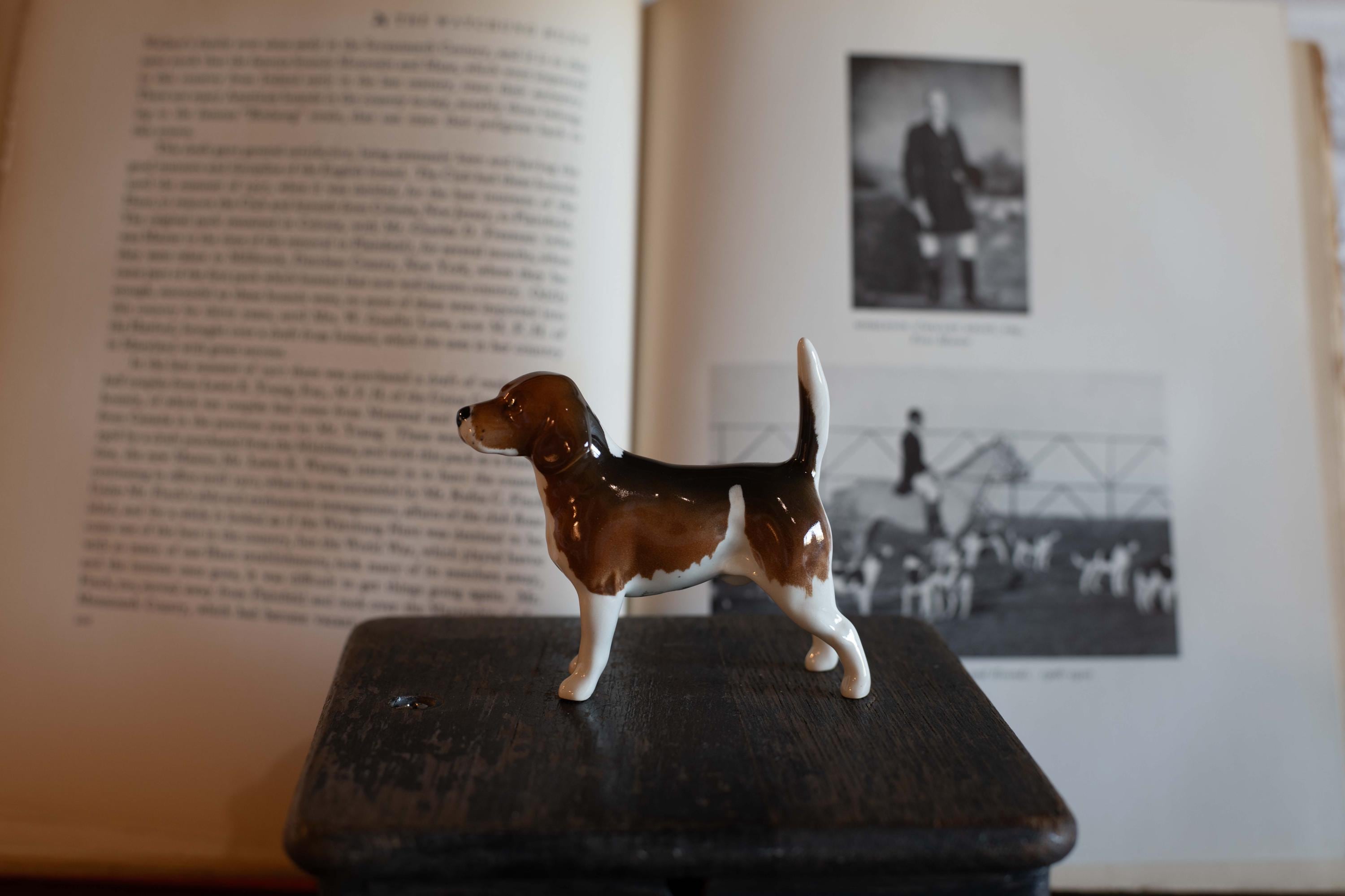 BESWICK ENGLAND　きたりすナトキン　 陶器オブジェ BESWICK ENGLAND きたりすナトキン 陶器オブジェ