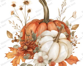 Watercolor Pumpkin Clipart Bundle, Fall Harvest PNG JPG (Digital Download)