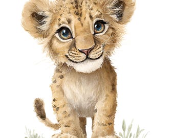 Aquarell Löwe Clipart, Safari Tiere PNG (digitaler Download)
