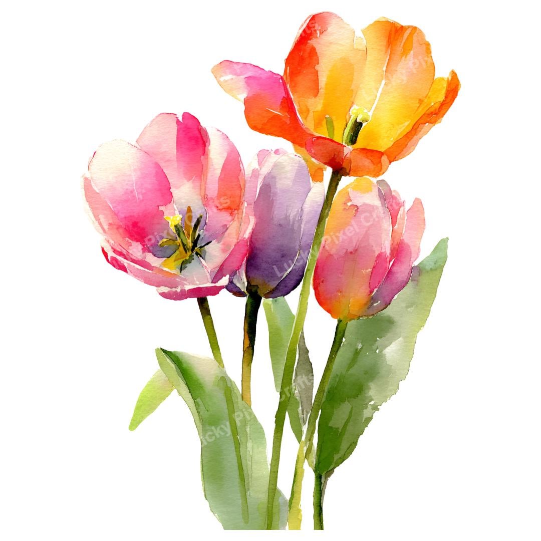 Watercolor Tulips Clipart, Spring Floral Set (digital Download) - Etsy