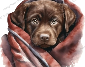 Watercolor Chocolate Labrador Clipart Bundle (PNG)