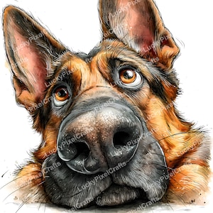 Peut inclure: Illustration à l'aquarelle d'un visage de berger allemand, en gros plan, mettant l'accent sur le grand nez et les yeux expressifs. La fourrure du chien est marron et noire, sur fond blanc. Le texte "LuckyPixelCrafts" est présent.