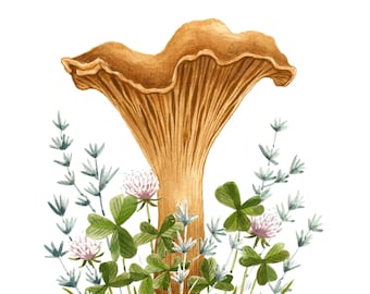 Chanterelle Mushroom Art Print, Foraging Illustration, Mushroom Painting, Woodland Decor, Mycology Art, Mushroom Decor, Mushroom Gift